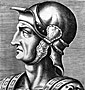 tallus hostilius
